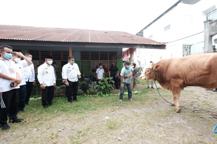 Mentan SYL: Kurban Sebagai Solidaritas Bersama di Tengah Pandemi