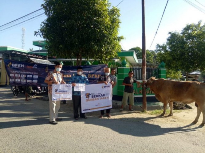 Idul Adha, Lazismu Gorontalo Kurban Enam Sapi