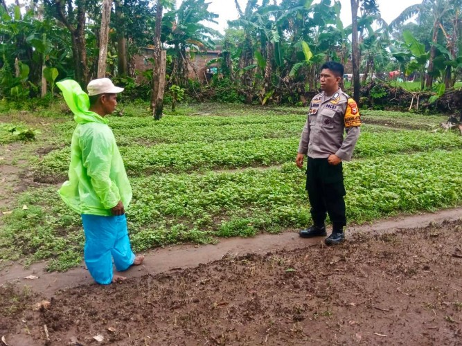Bhabinkamtibmas Sawakung Beba Dorong Warga Manfaatkan Lahan Pekarangan untuk Ketahanan Pangan