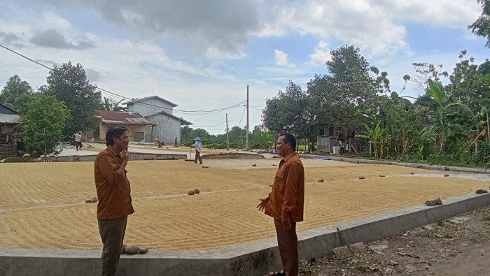 Dari Seratus Ribu Jadi 300 Pekerja: Kisah Inspiratif H. Ampang Sang Pelopor Ketahanan Pangan